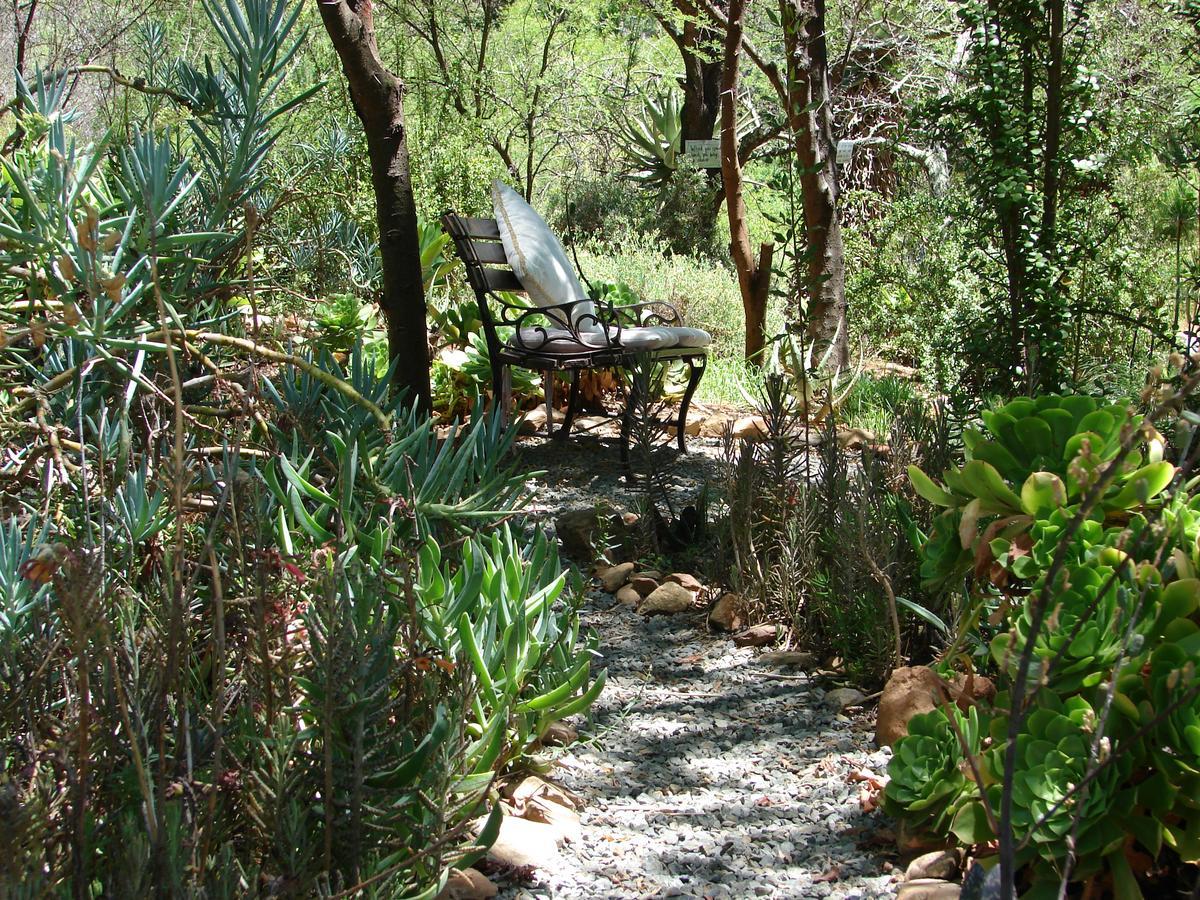 De Poort Country Lodge Oudtshoorn Exterior foto