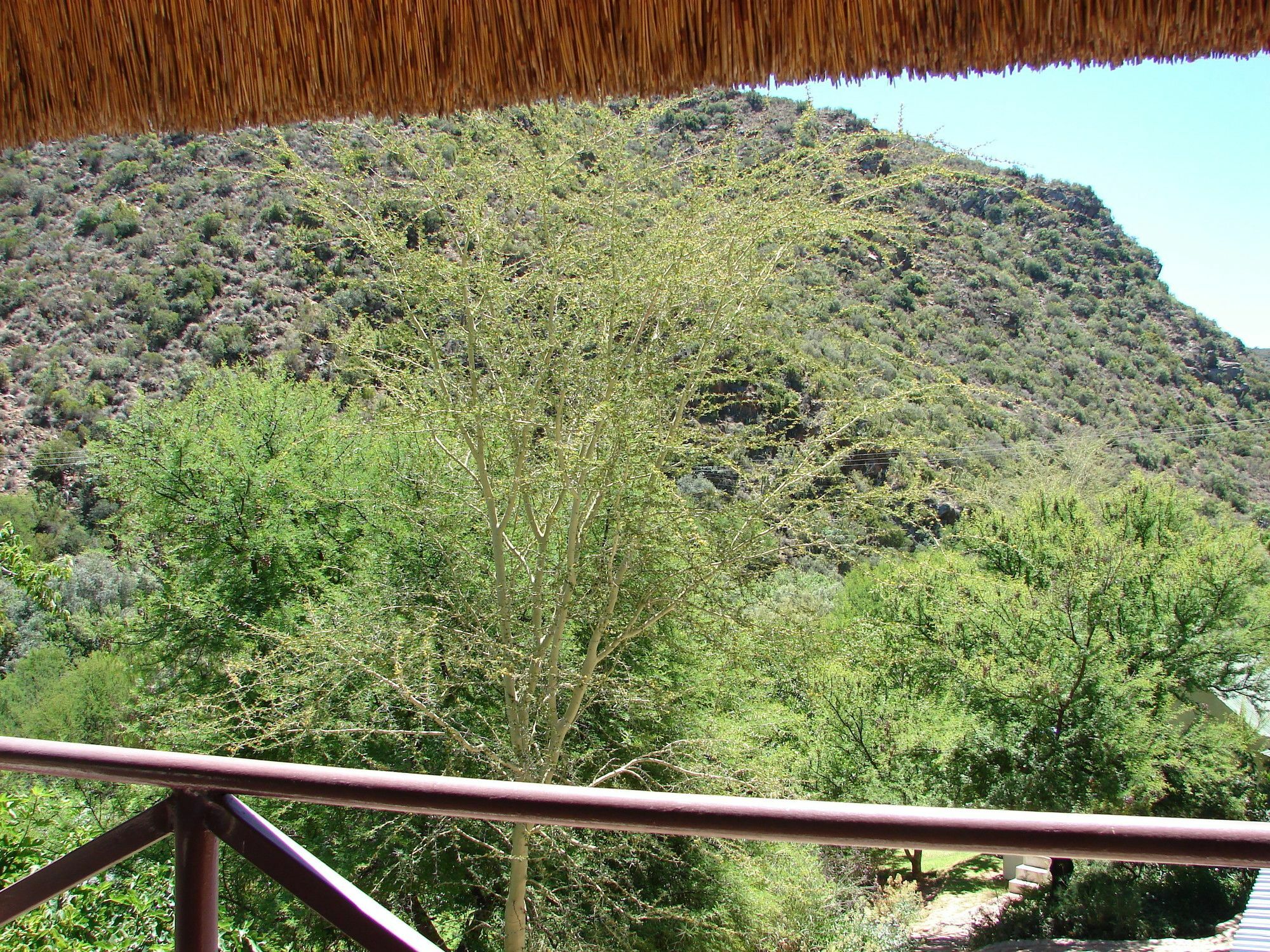 De Poort Country Lodge Oudtshoorn Exterior foto